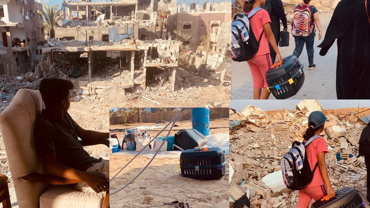 Collage of 4 photos of Ruaa and her family showing the destruction of their local area and living conditions.